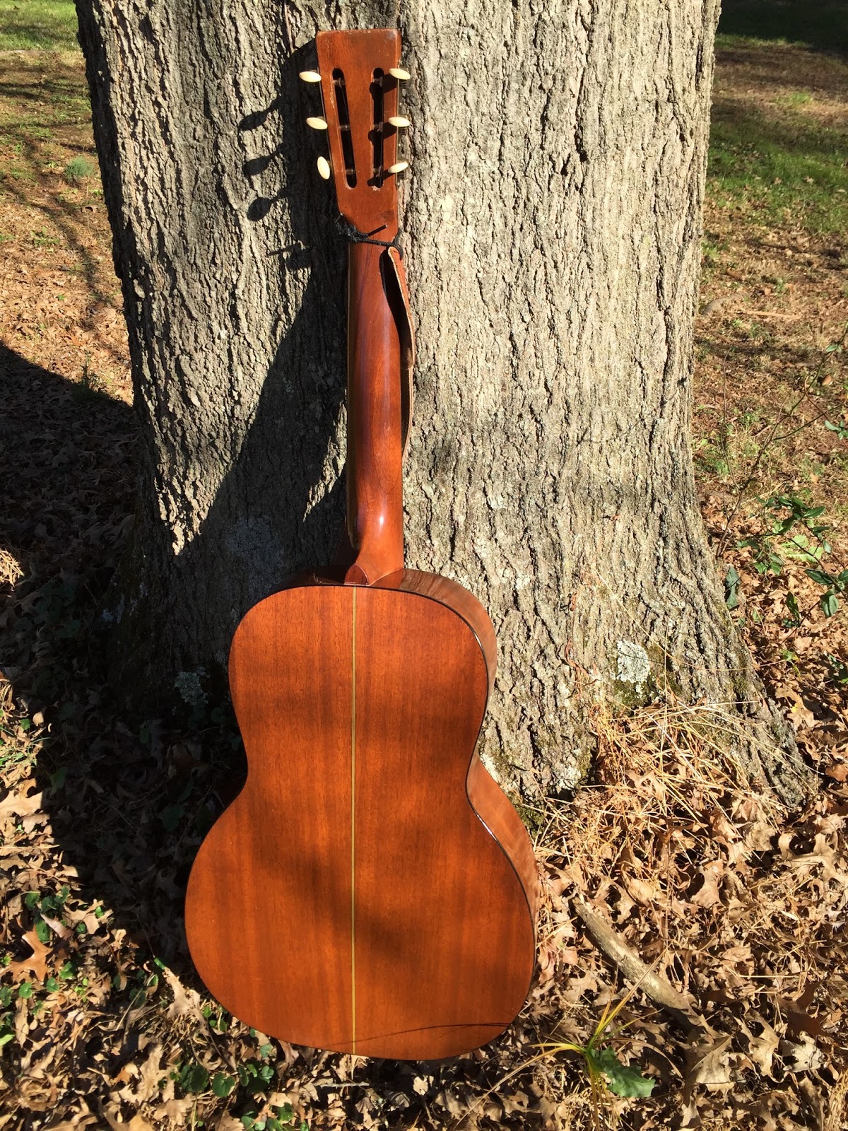 Fred 2024 oster guitars
